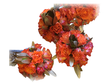 Demo image